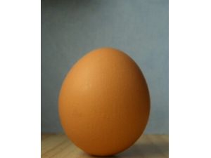 �����Ͷ�������һ�����?ʳ�ü�����4�ֽ���