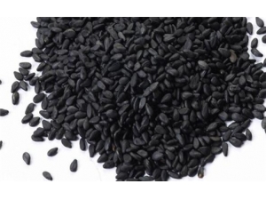 ����׳����ʳ������Щ ����׳����ʳ���Ƽ�