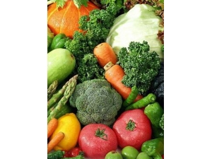 ��������?�������ѺóԺȹ�