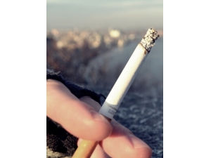 ��������?������������۵�Ԫ��