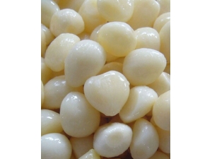 ��α���?4�ֹ������εı���ҩ