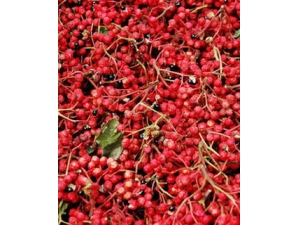 �������ô����?��ҽ�Ƽ�Сƫ�����ɽ��