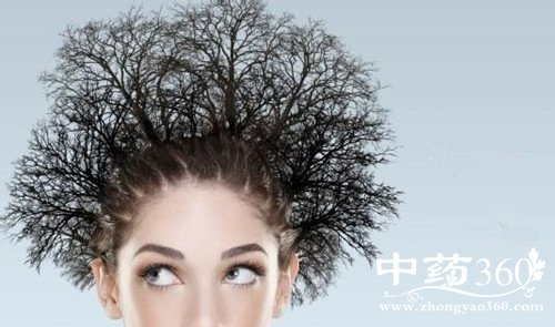 1505201713510610.jpg 头发分叉.jpg