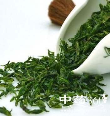 苦丁茶的鉴别,苦丁茶如何辨别真伪好坏