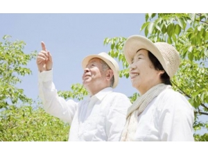 ����Ӧ��������� ��������Ҫ���������