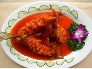 ������������ �����������ô����