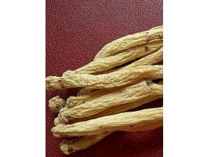 �����������н���?ǧ��𱻺�����