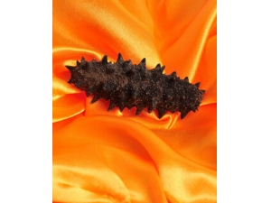 �ɺ�����ô��?6�з���Ӫ������