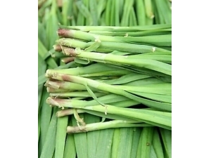 ��β���׳��?�����˸������ŵ�����ʳ��