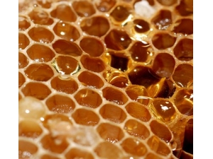 ������ʳ�����кö��㲻֪����С����