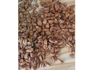 ������ʲôҩ��?���������벻�����в�ҩ