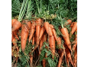 �����ϵı�����ʳʳ��?�ó�Ч����