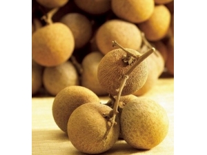 ������Ѫ�Թ�Բ?5��ʳ�÷���