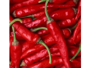 ������˽�һ�¡���ζʳ��ı�����Ч