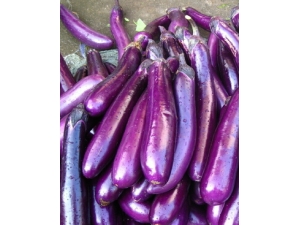 ������ʳ?���������ܼ�����