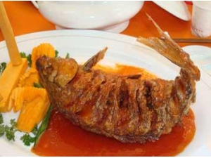 ��������������ô���� ���������ŵ�����