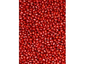 �춹�Ĺ�Ч������?�춹������