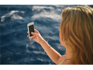 ��֥���Կ����� ��֥�������빦Ч