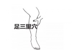 ��ЩѨλ���Ի�����������