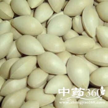 白果怎么制作,美味可口的白果炒香肠的做法