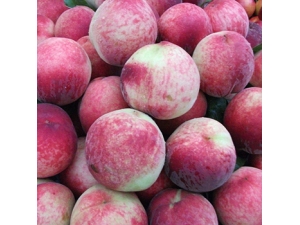 ���ӵ���������Щ?���ӵ����༰����