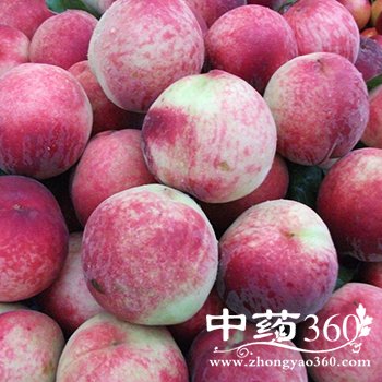 ���ӵ���������Щ,���ӵ����༰����