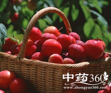 懒女孩的苹果减肥汤,清肠排毒很有效果