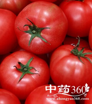 ����˽���������Ӫ��,����������ʳ����