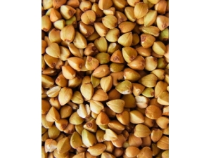 �����Ӫ����ֵ?����Ĺ�Ч������