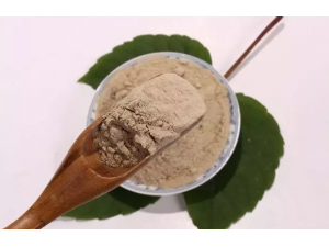 ��������������ף�