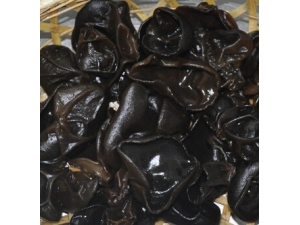 �＾�����ʰٺ�����?��������