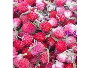 ����÷�Ĺ�Ч?����÷����ʮ���ְ�����