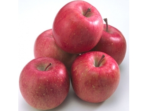 �ո���ƻ������?�ո���ƻ��������û�˺�