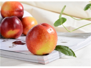 ������ô���� ������ʲô�����ֿ��ֺ�