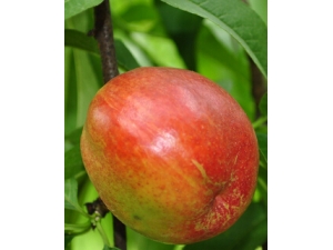 �����һ��ϻ���?���ҵ�����