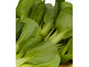 ��δ����̹��߲˺��ˮ?ˮ�Ƿ񻹿ɳ�