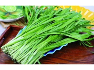 ��ʲô������ �����ʳ���Ƽ�