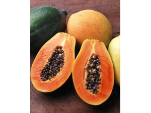 ľ�����ܳ���?ľ�ϵĹ�Ч������