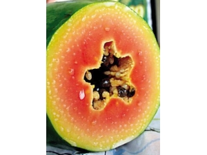 ľ�Ϸ۵������빦Ч?ľ�Ϸ۵�ʳ�÷���