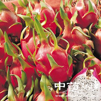 ��μ����Ŷ�,��������˫��ѩ������Ŷ�