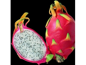 �Ի��������ϻ���?�Ի����������ϻ��ܻ�