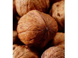 �����ô��?��ҩ���������