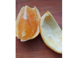 ����Ƥ�Ĺ�Ч������?����Ƥ������ˮ����