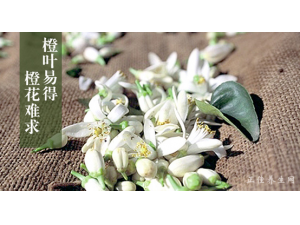 ���ж��Լ���ʲô�����ٻ�����̫������