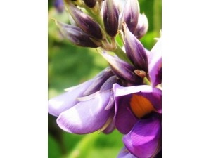 ������������빦Ч?����ı�����Ч