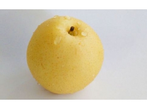 10������ɿڵ�ˮ�� �������������������