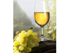 ʹ粡˲ܳʲô?μ7ʳע