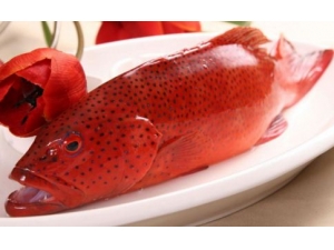 ���ʲ���ô�� һ����������