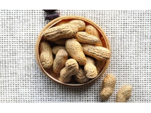 �������ЩС��ʳ�ȽϺ� ������ô�Բ�����