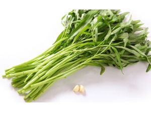 ���Ĳ˵�Ӫ����ֵ Ů�˳Կ��Ĳ˵ĺô�